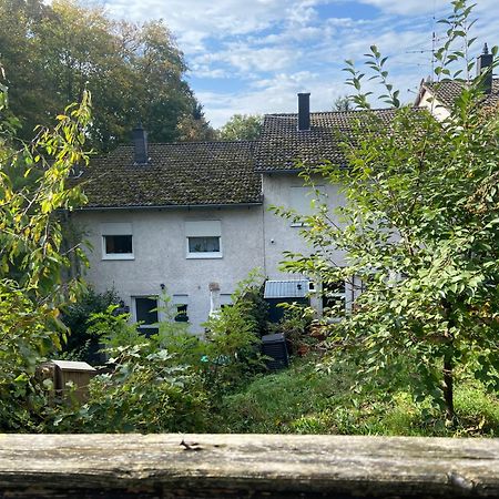 In Saarbruecken Stadtnahe Gemuetliche Wohnung Am Deutsch-Franzoesischen Garten Bagian luar foto