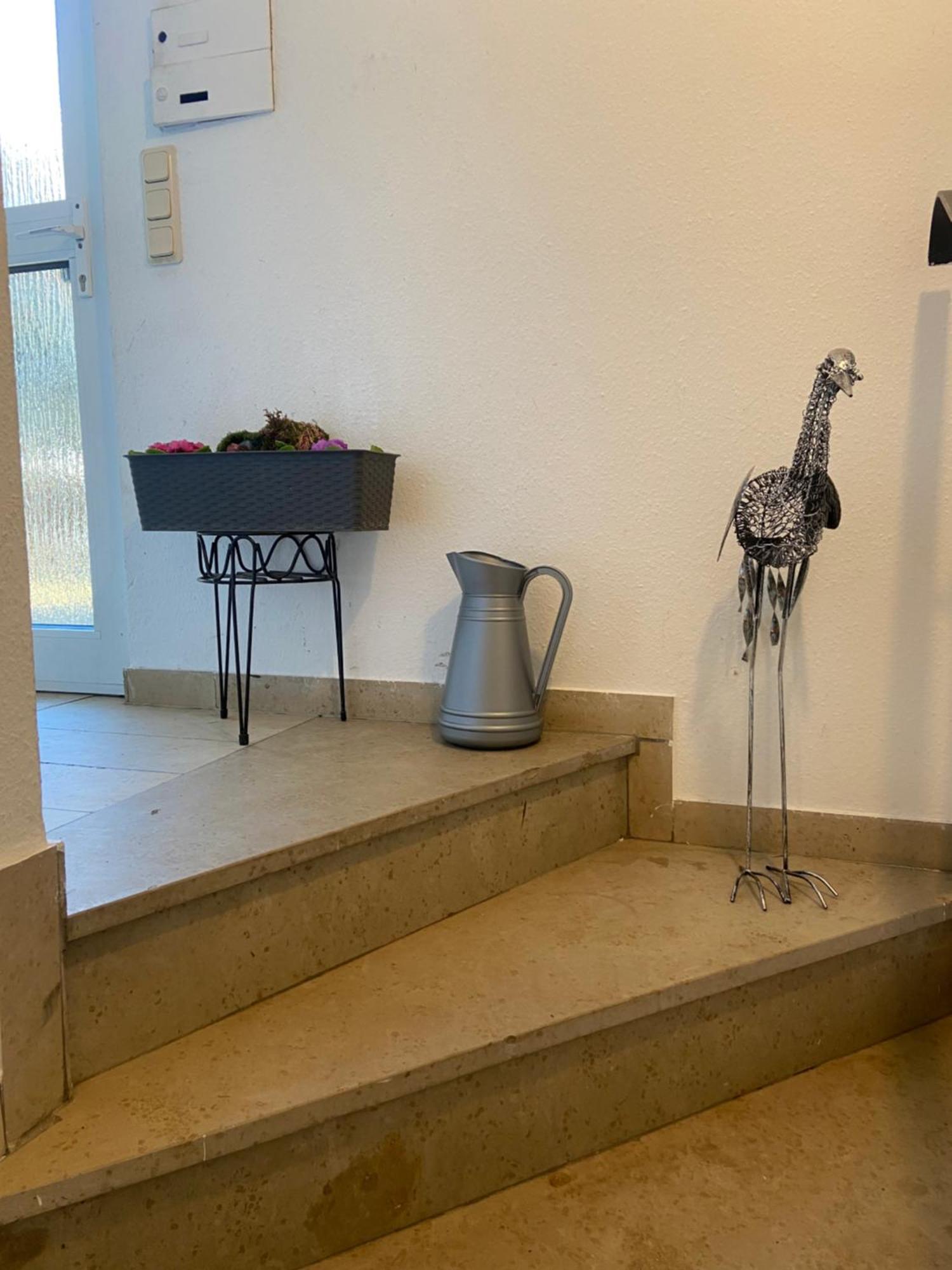 In Saarbruecken Stadtnahe Gemuetliche Wohnung Am Deutsch-Franzoesischen Garten Bagian luar foto