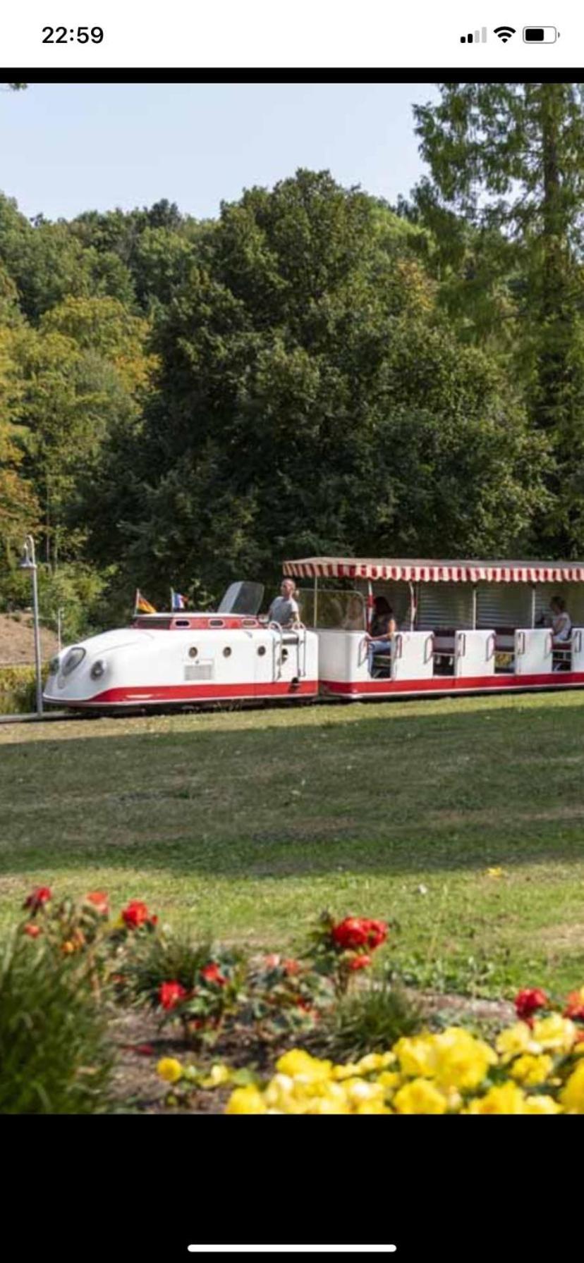 In Saarbruecken Stadtnahe Gemuetliche Wohnung Am Deutsch-Franzoesischen Garten Bagian luar foto