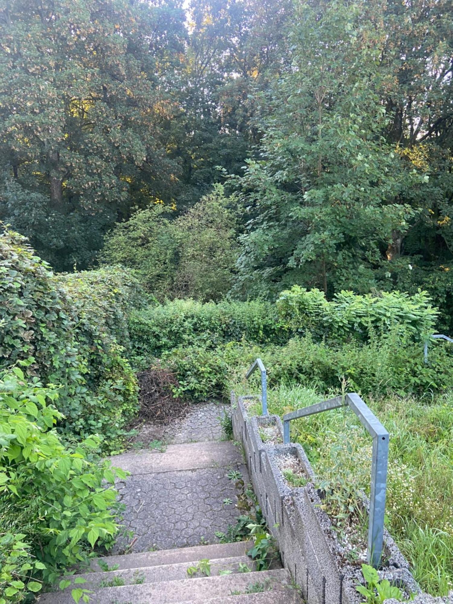 In Saarbruecken Stadtnahe Gemuetliche Wohnung Am Deutsch-Franzoesischen Garten Bagian luar foto